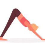 image 14 11 2025 à 16.04